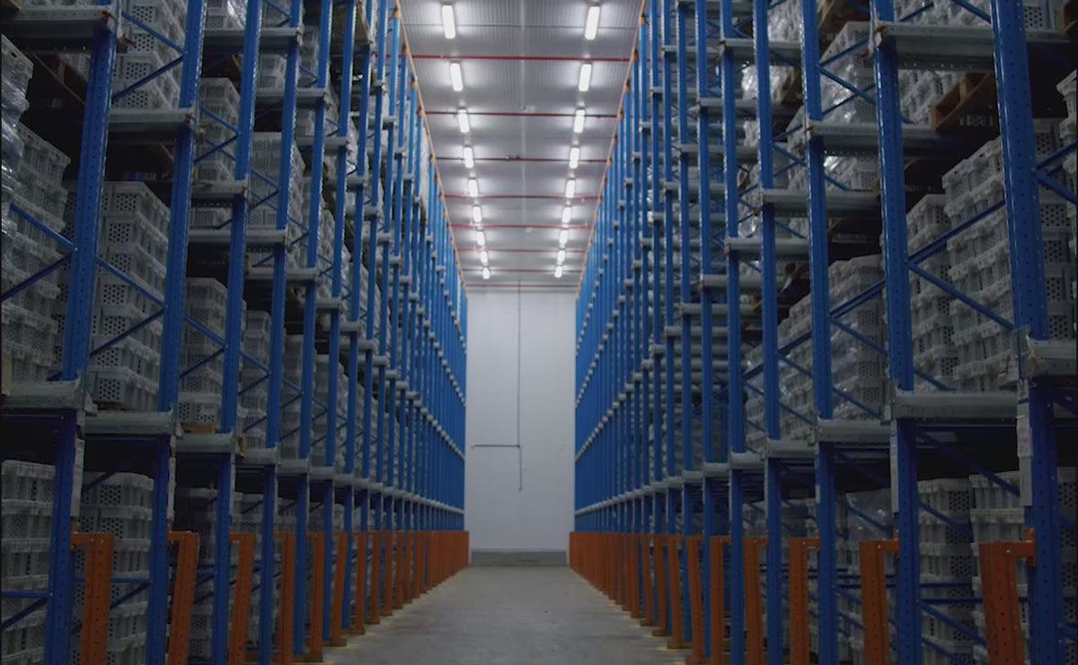 Load video: 